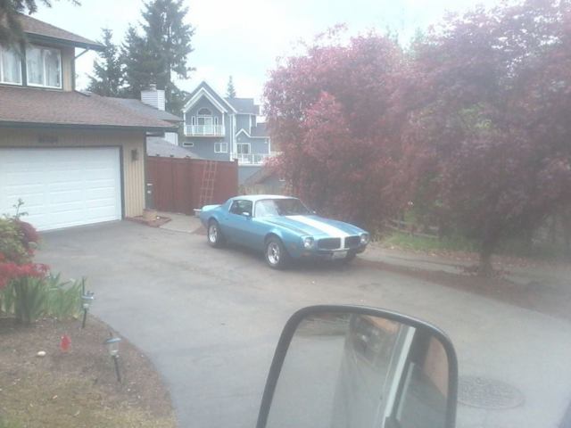 1980 Pontiac Firebird