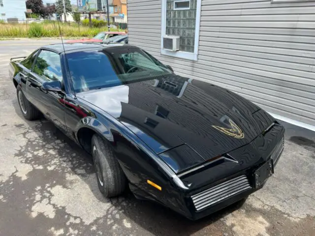 1982 Pontiac Firebird Trans Am