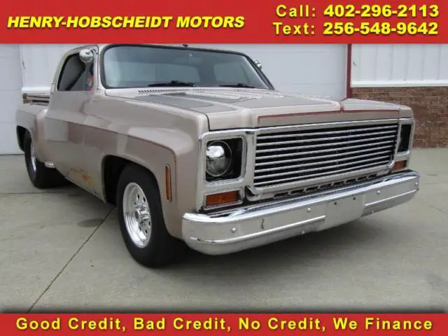 1979 Chevrolet Silverado 1500 --