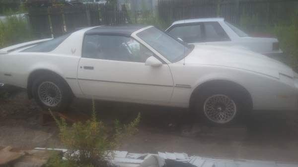 1986 Pontiac Firebird