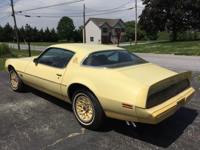 Pontiac Firebird Esprit Yellow Bird for sale: photos, technical ...