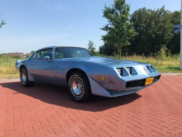 1981 Pontiac Trans Am