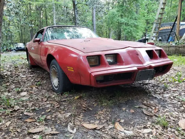 1981 Pontiac Trans Am