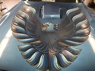 1979 Pontiac Trans Am blue