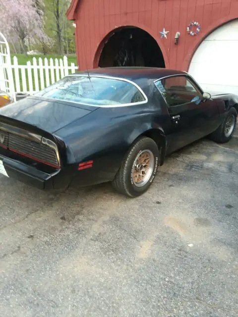 1981 Pontiac Firebird TRANS AM