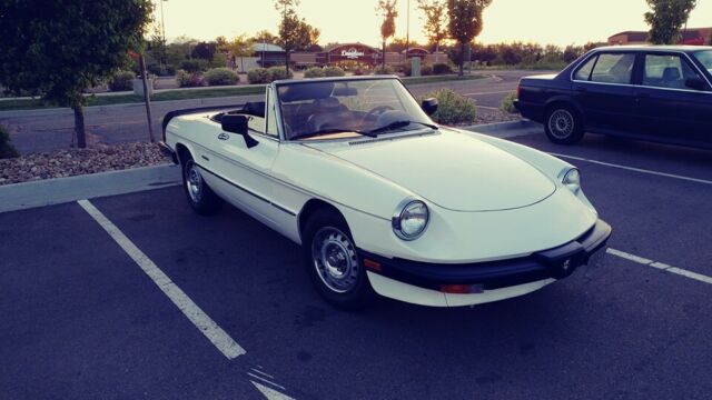 1986 Alfa Romeo Spider Graduate