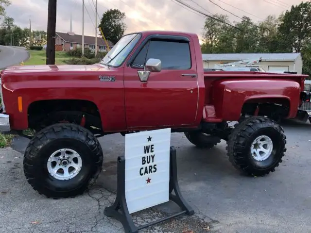 1979 Chevrolet Other Pickups Stepside custom delux