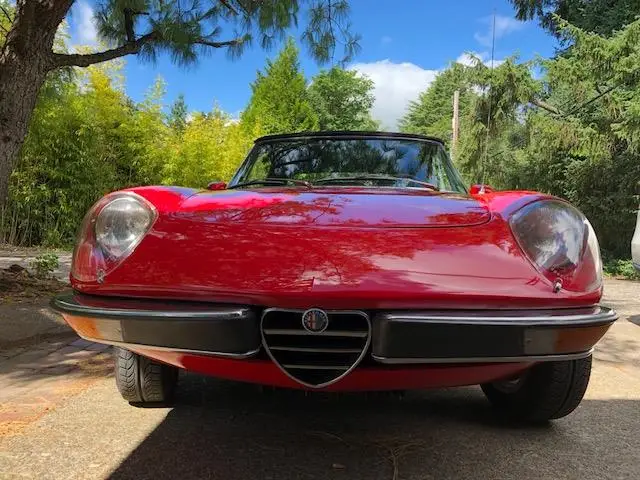 1971 Alfa Romeo Spider