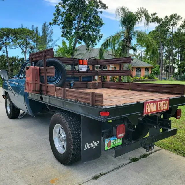 1981 Dodge Other Pickups