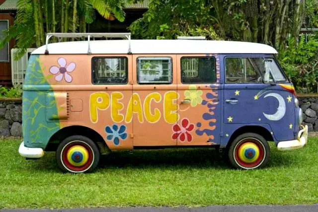 1966 Volkswagen Bus/Vanagon