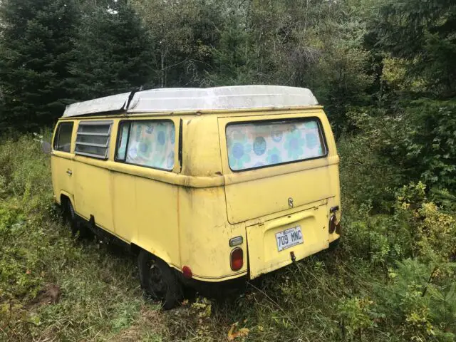 1971 Volkswagen Bus/Vanagon