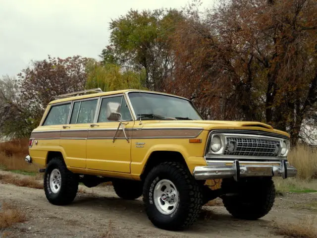 1974 Jeep Wagoneer Wagoneer, Chief