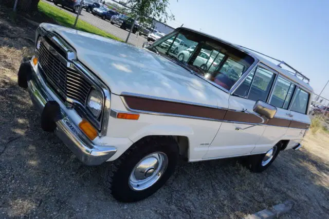 1979 Jeep Wagoneer Wagoneer