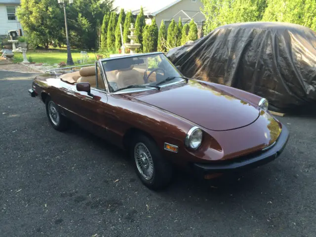 1980 Alfa Romeo Spider