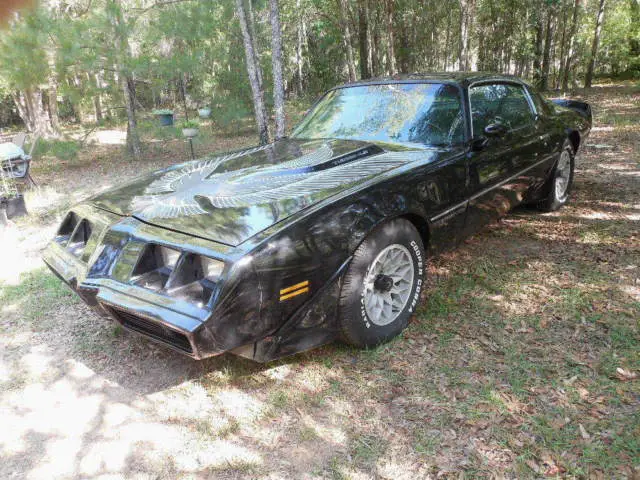 1981 Pontiac Trans Am Turbo Trans Am