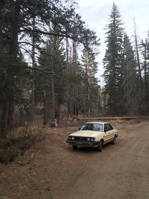 1984 Subaru Other