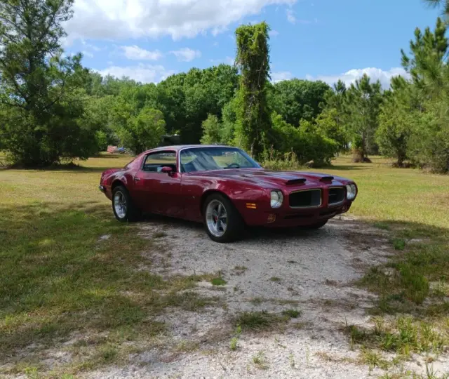 1973 Pontiac Firebird Formula 455