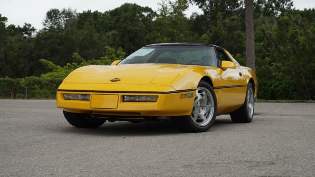 1990 Chevrolet Corvette R9G WORLD CHALLENGE RACE CAR