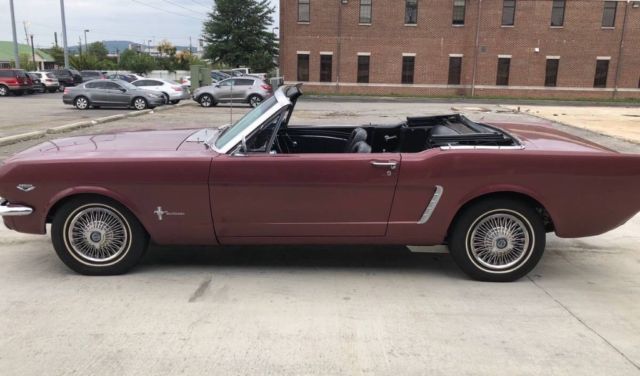 1965 Ford Mustang