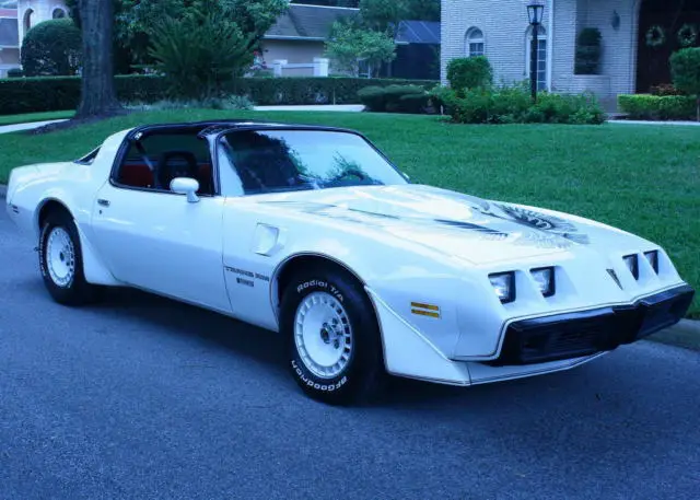 1981 Pontiac Trans Am TURBO NASCAR RECARO EDITION - TTOPS