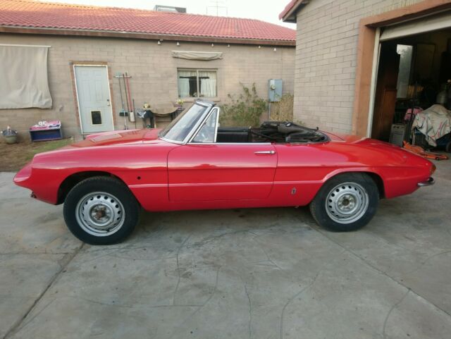 1967 Alfa Romeo Spider