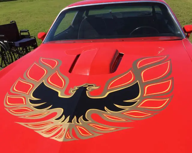 1977 Pontiac Trans Am Firebird