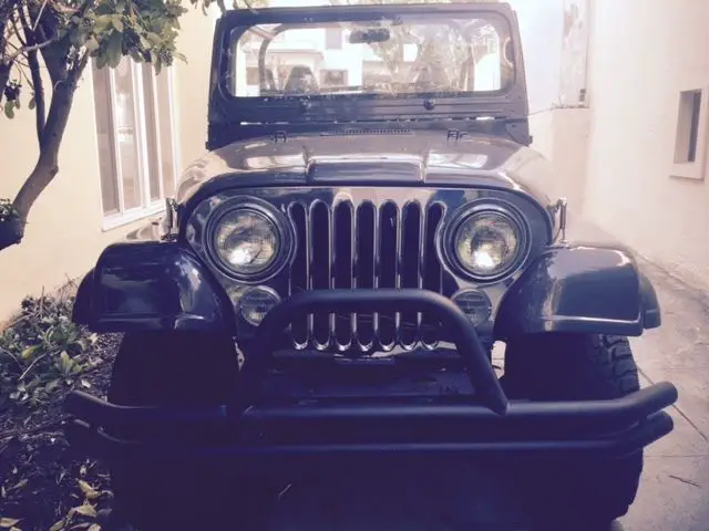 1979 Jeep CJ