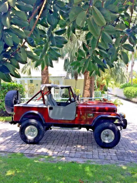 1980 Jeep Wrangler Custom