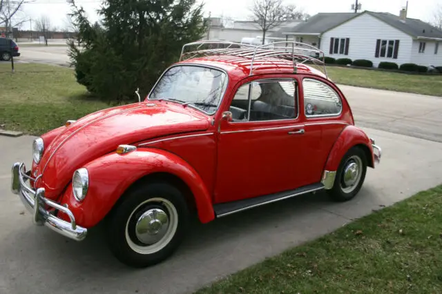 1965 Volkswagen Beetle - Classic