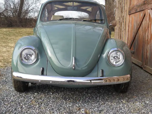 1969 Volkswagen Beetle - Classic