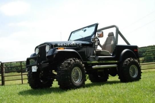 1979 Jeep CJ