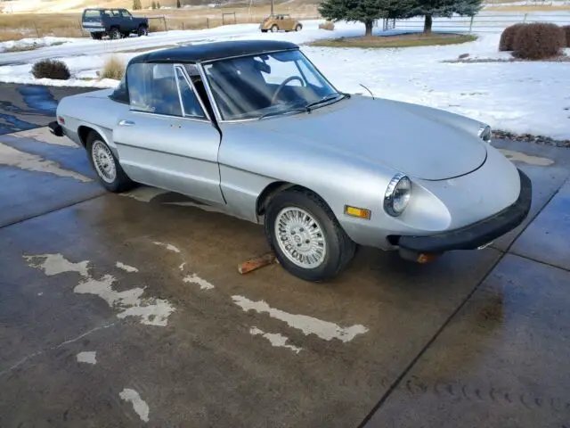 1978 Alfa Romeo Spider