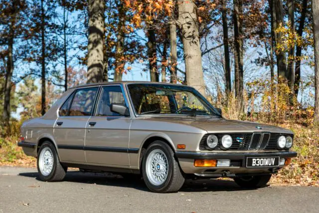 1984 BMW 5-Series