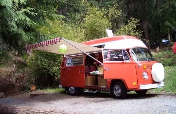 1974 Volkswagen Bus/Vanagon