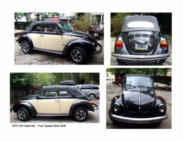 1975 Volkswagen Beetle - Classic Chrome