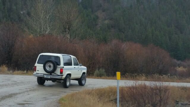 1985 Ford Bronco II