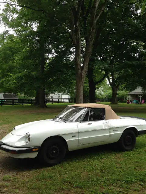 1989 Alfa Romeo Spider