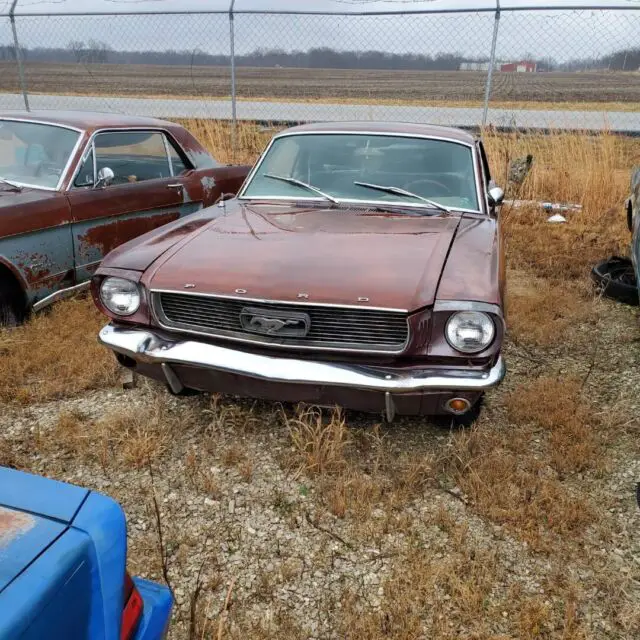 1966 Ford Mustang