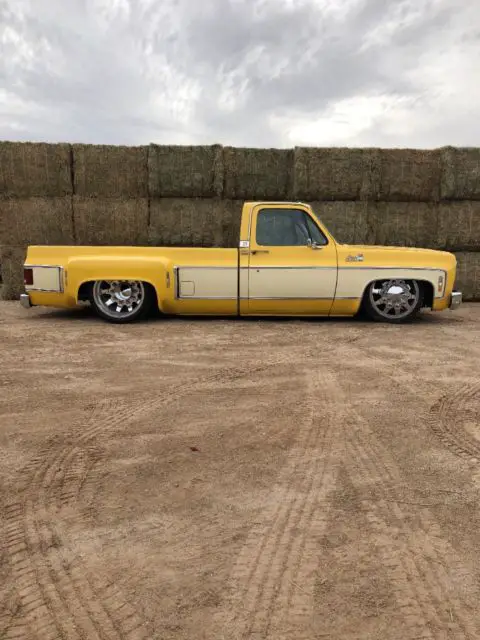 1979 Chevrolet C-10