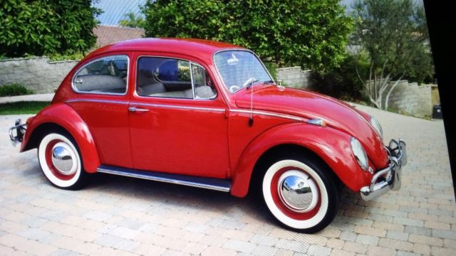 1966 Volkswagen Beetle - Classic Mint!