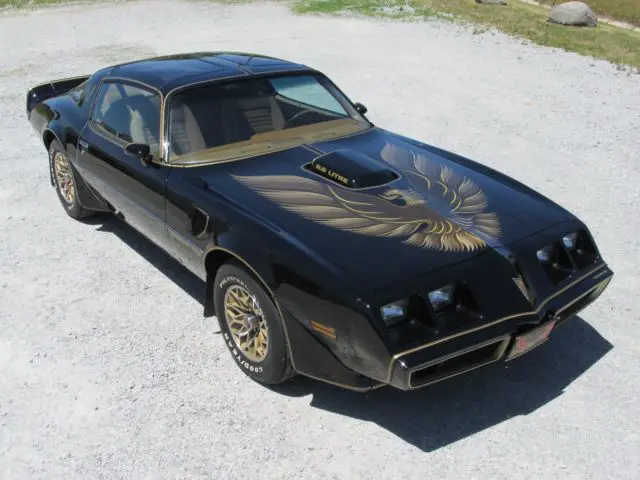 1979 Pontiac Trans Am Y84 Special Edition