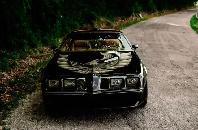 1981 Pontiac Trans Am