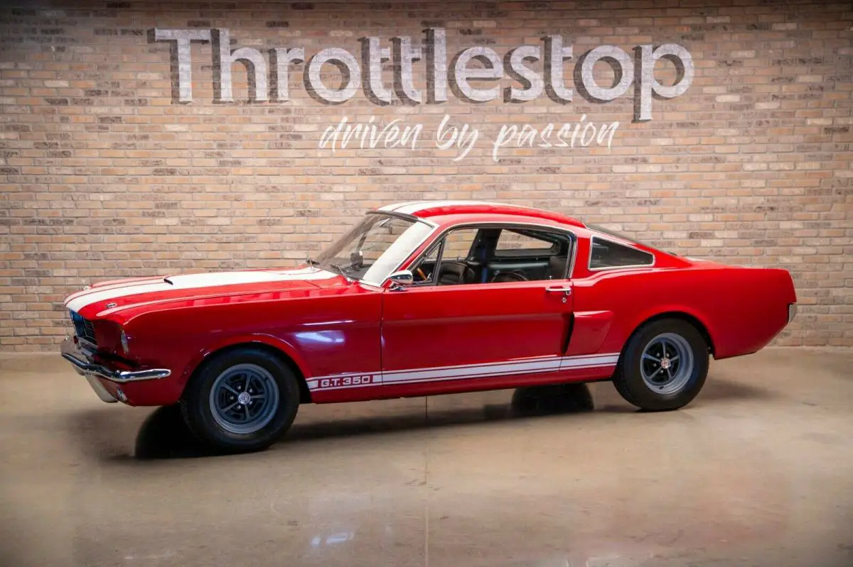 1966 Ford Mustang Shelby GT350