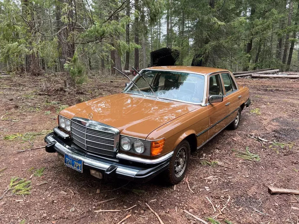 1980 Mercedes-Benz 300-Series