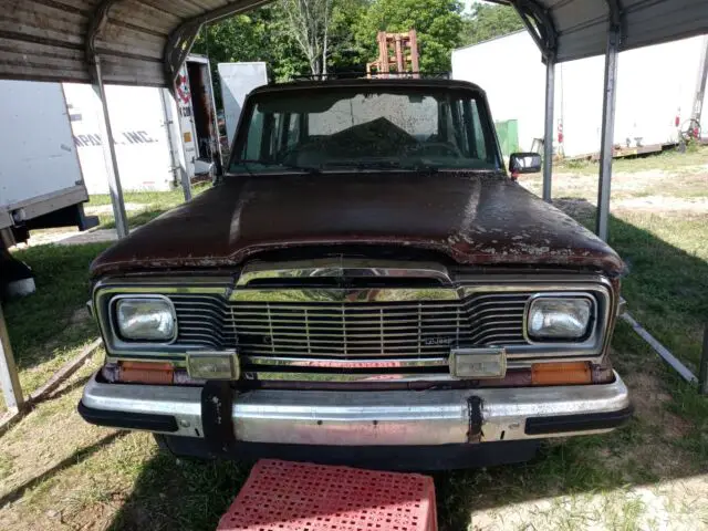 1984 Jeep Grand Wagoneer Plastic wood trim