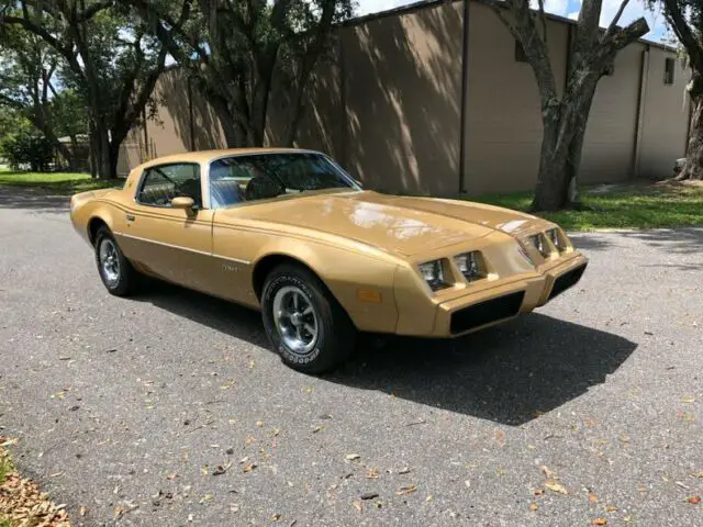 1979 Pontiac Firebird --