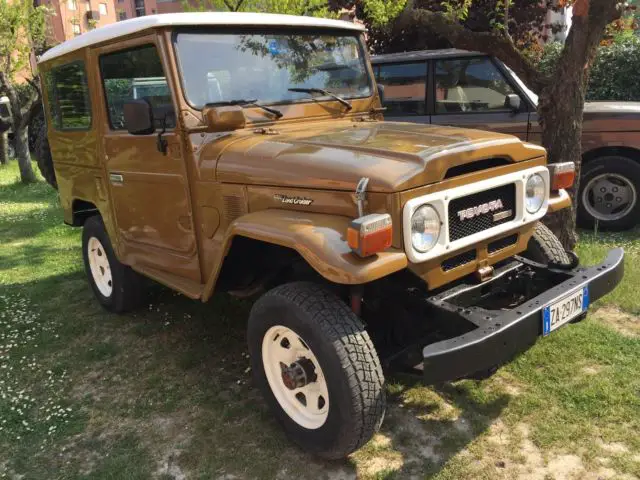 1981 Toyota Land Cruiser