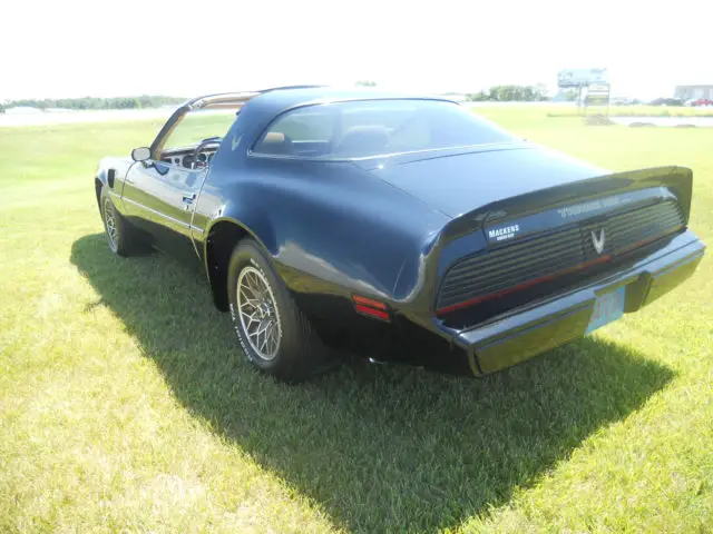 19810000 Pontiac Trans Am