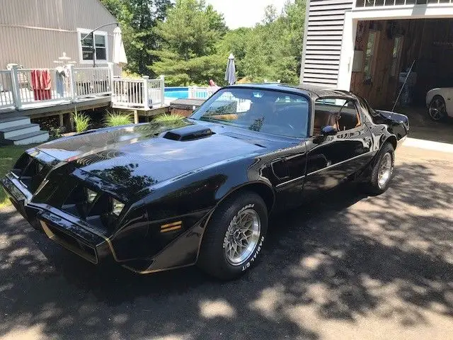 1981 Pontiac Trans Am SE