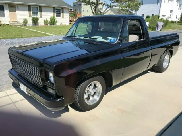 1976 Chevrolet Other Pickups